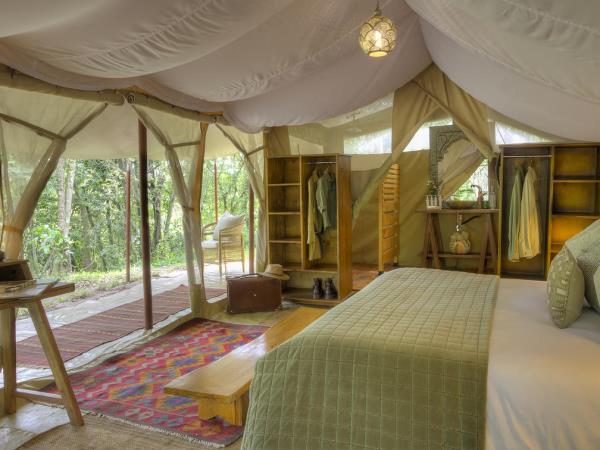 Kenya migration and Manda Bay beach vacation