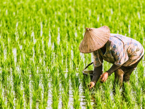 Vietnam vacation for visually impaired travellers