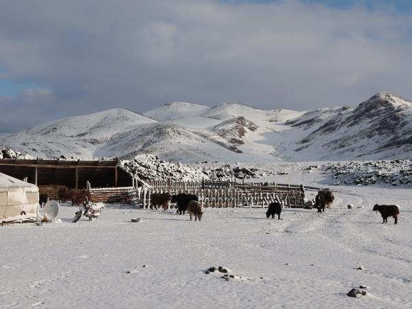 Mongolia adventure vacation, off the beaten track