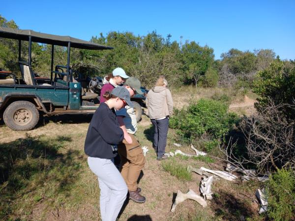 Wilderness conservation vacation, South Africa