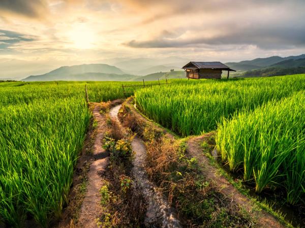Vietnam, Laos & Thailand small group tour