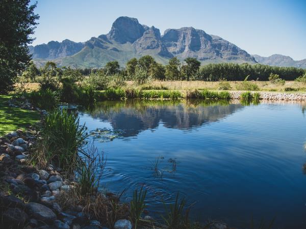 Cape Town and wine region highlights, South Africa