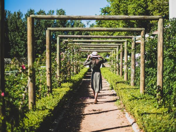 Cape Town and wine region highlights, South Africa