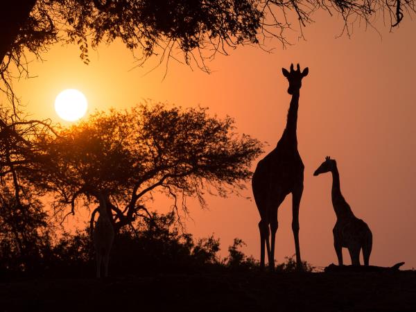 Cape Town and wine region highlights, South Africa