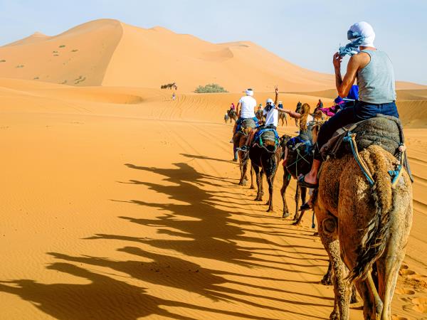 Private Morocco highlights, tailor made