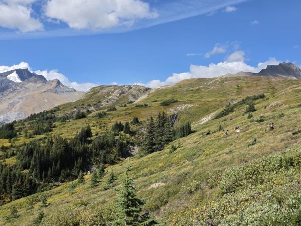 Canadian Rockies walking vacation in Canada