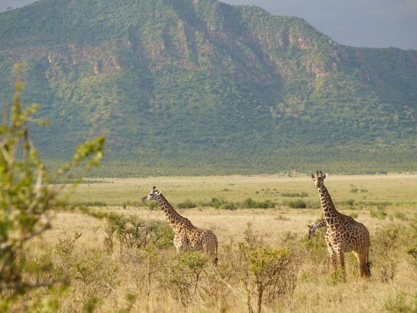 Tanzania on a budget, 4 day tour