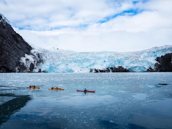 Active Argentina and Antarctic cruise vacation