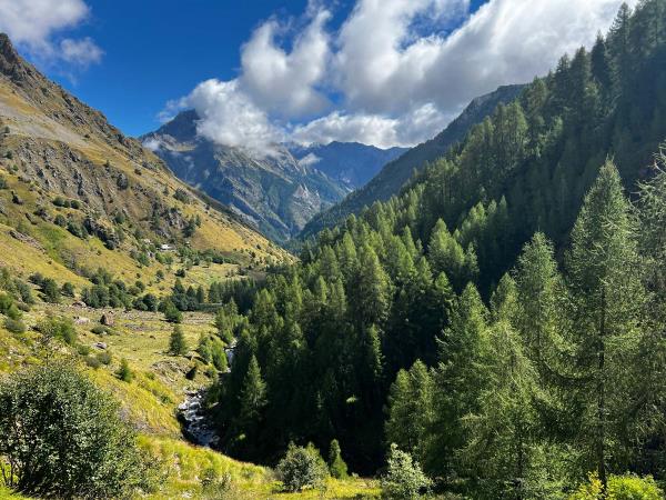 Gourmet alpine walking vacation, France