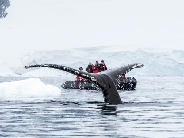 Patagonia and Antarctica vacation