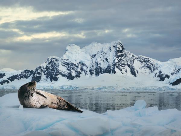Patagonia and Antarctica vacation
