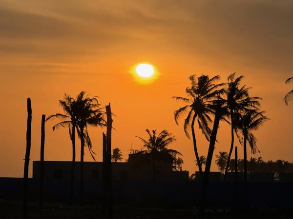West Africa wildlife, culture and traditions tour
