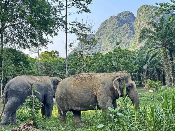 Thailand tour, mountains & rainforests