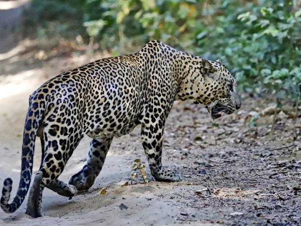 Sri Lanka tour, off the beaten track