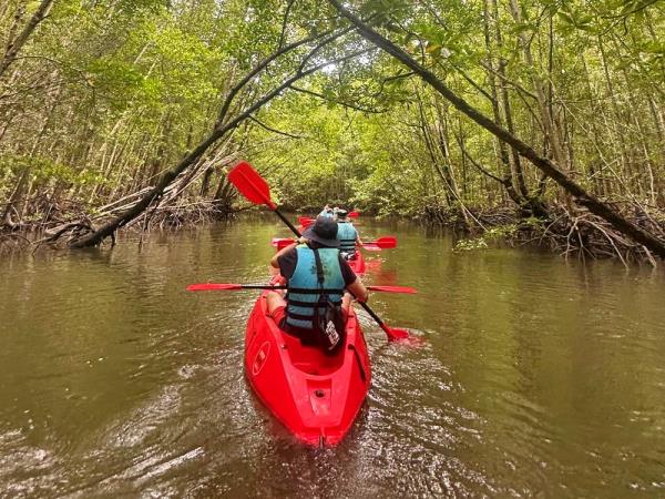 Family vacation to Thailand, jungles and islands