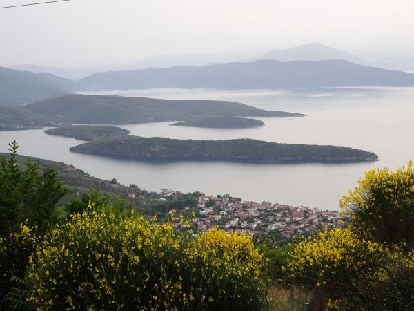 Botanical painting course in Greece