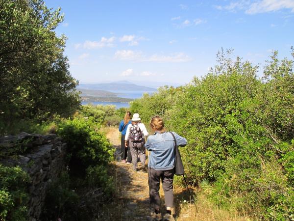 Botanical painting course in Greece