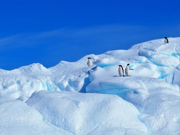 Argentina & Antarctica 1 month vacation