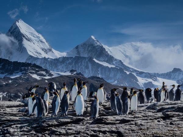 Argentina & Antarctica 1 month vacation