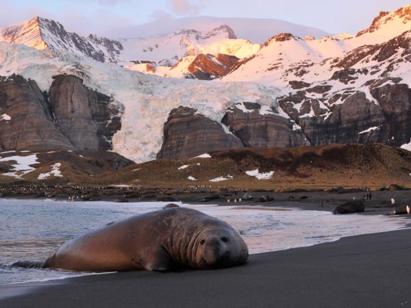 Argentina & Antarctica 1 month vacation