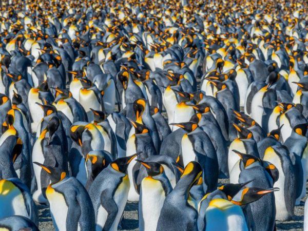 Argentina & Antarctica 1 month vacation