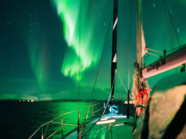 Whale watching and Northern Lights sailing vacation in Norway