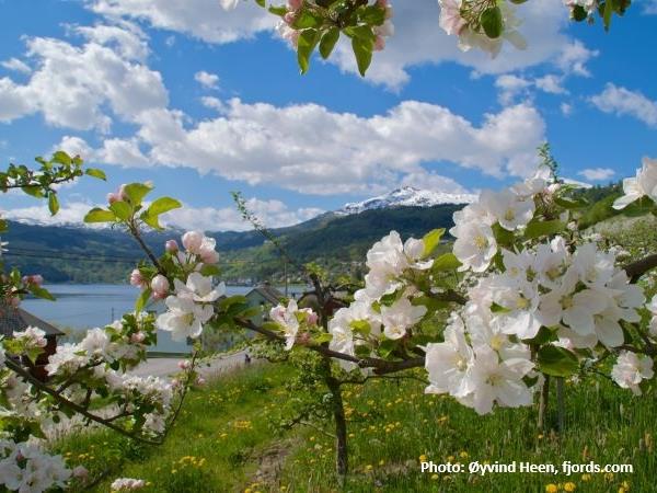 Fjords hiking vacation, Norway