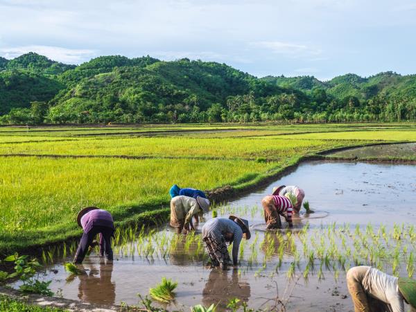 Hiking in Bali and Lombok small group vacation