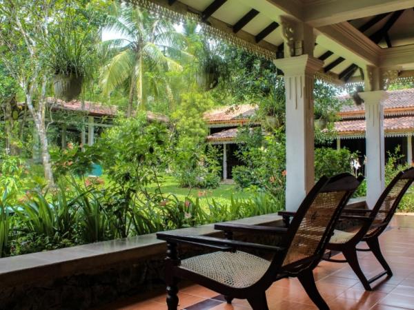 5 day meditation & yoga retreat in Sri Lanka