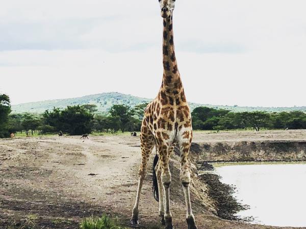 2 weeks in Uganda vacation