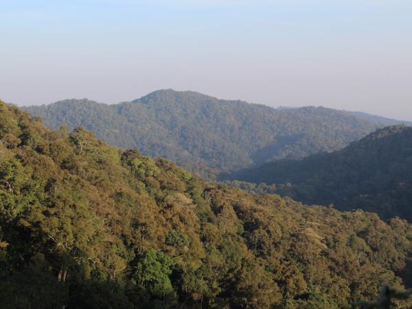 Uganda bird watching vacation with primate trek