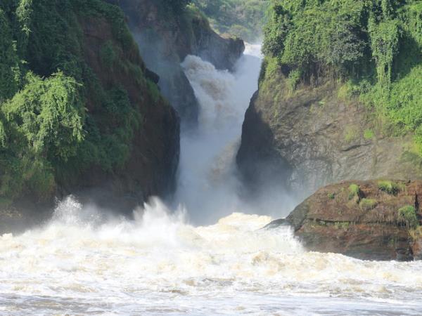 Uganda wildlife highlights vacation