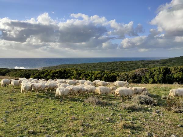 Sardinia tailor made tour
