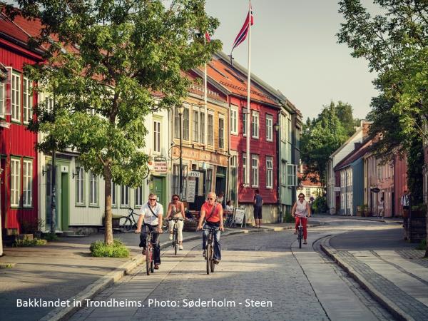Central Norway cycling holiday, R�ros to Trondheim