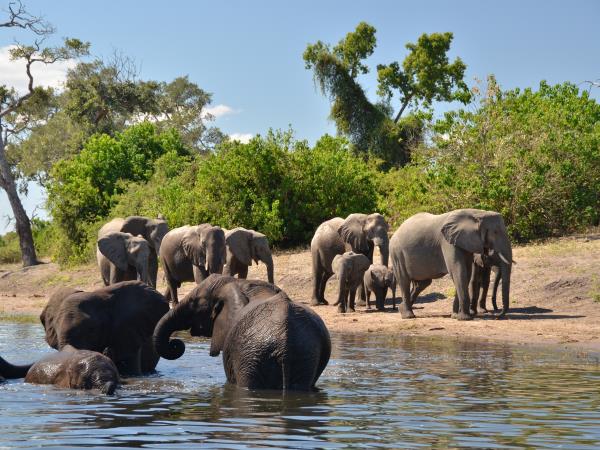 Botswana and Zimbabwe safari vacation