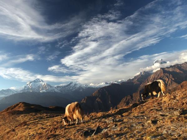 Nepal walking vacation in comfort