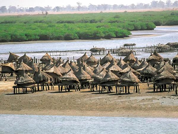 Senegal wildlife and cultural tour