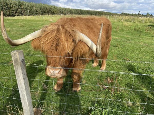 Scottish Highlands family vacation