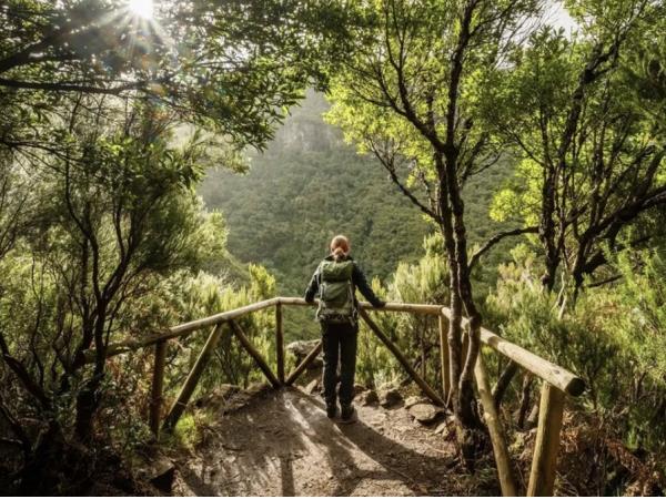 Madeira walking vacation in comfort