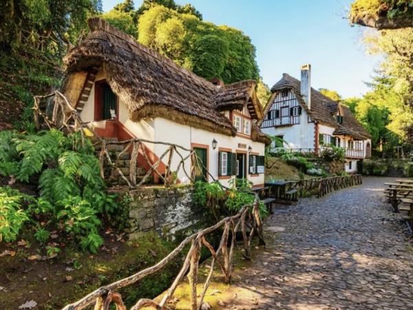Madeira walking vacation in comfort