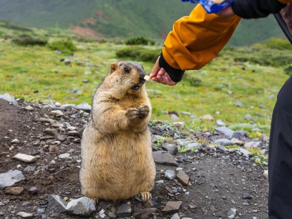 Minya Konka Mountain trek in Sichuan, China 