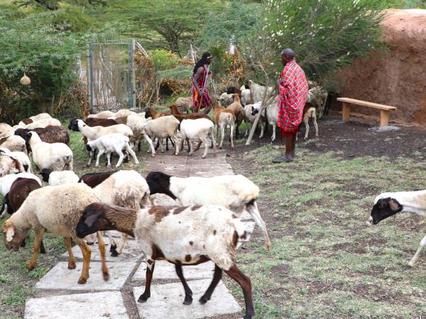 Maasai 2 day tour, Kenya