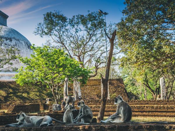 Sri Lanka highlights vacation for families, 13 days