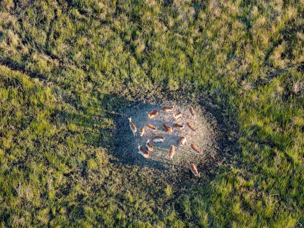 Camping safari in Southern Africa