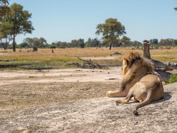 Camping safari in Southern Africa