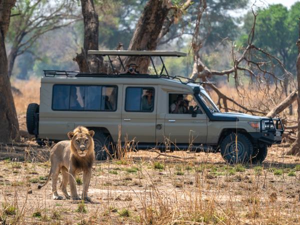 Mobile walking safari vacation in Zambia