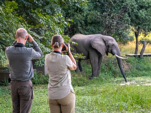 Mobile walking safari vacation in Zambia