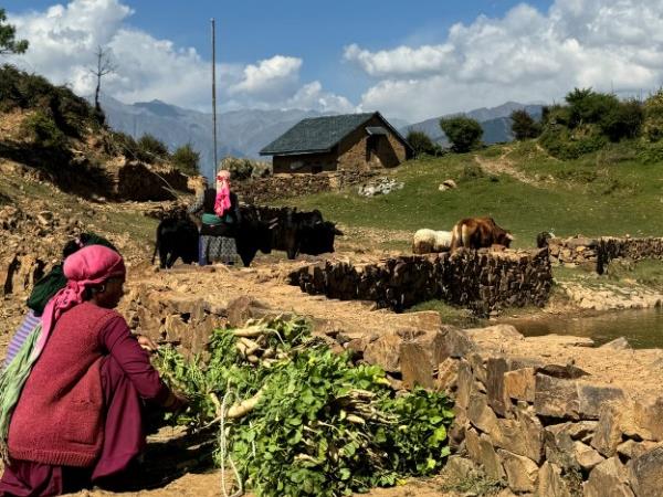 Trekking in the Indian Himalayas
