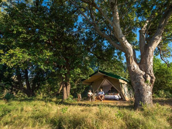 Zimbabwe camping safari