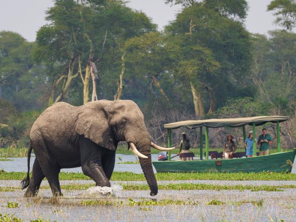 Malawi safari and lake adventure vacation